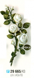 Róża Caggiati biała nr 29665/43
